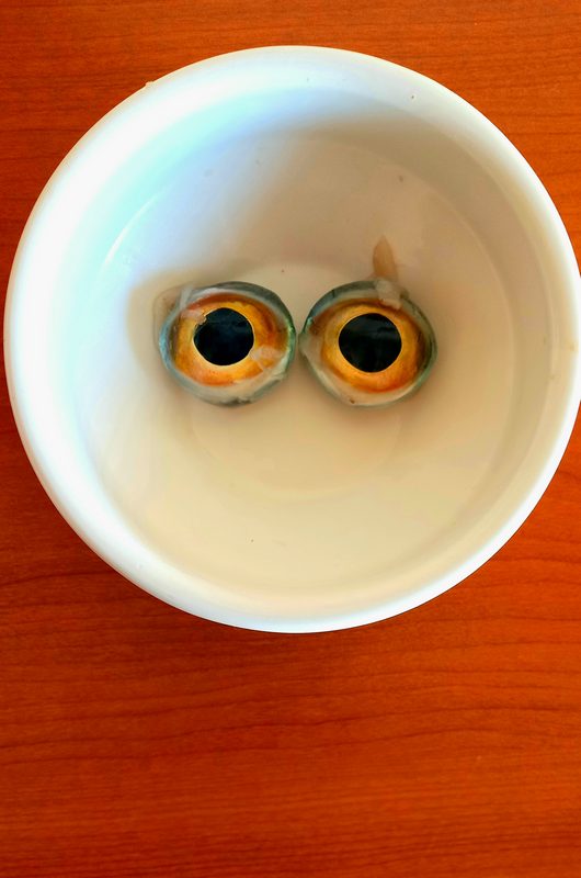 Los ojos